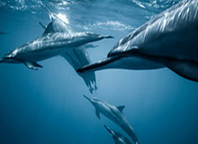 开云-九游体育官网——开启你的极致游戏体验